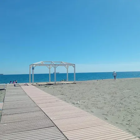Garzas - Playa